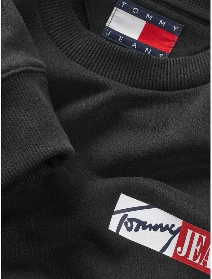 Tommy Jeans Plus Sweatshirt TJM REG ENTRY GRAPHIC CREW EXT