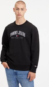 TOMMY JEANS Sweatshirt TJM REG SMALL VARSITY CREW