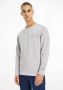 TOMMY JEANS Sweatshirt TJM TOMMY SIGNATURE CREW - Thumbnail 2