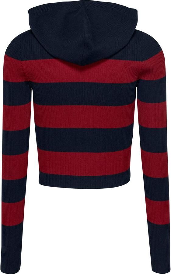 TOMMY JEANS Capuchontrui TJW STRIPE 1 4 ZIP HOOD SWEATER - Foto 4