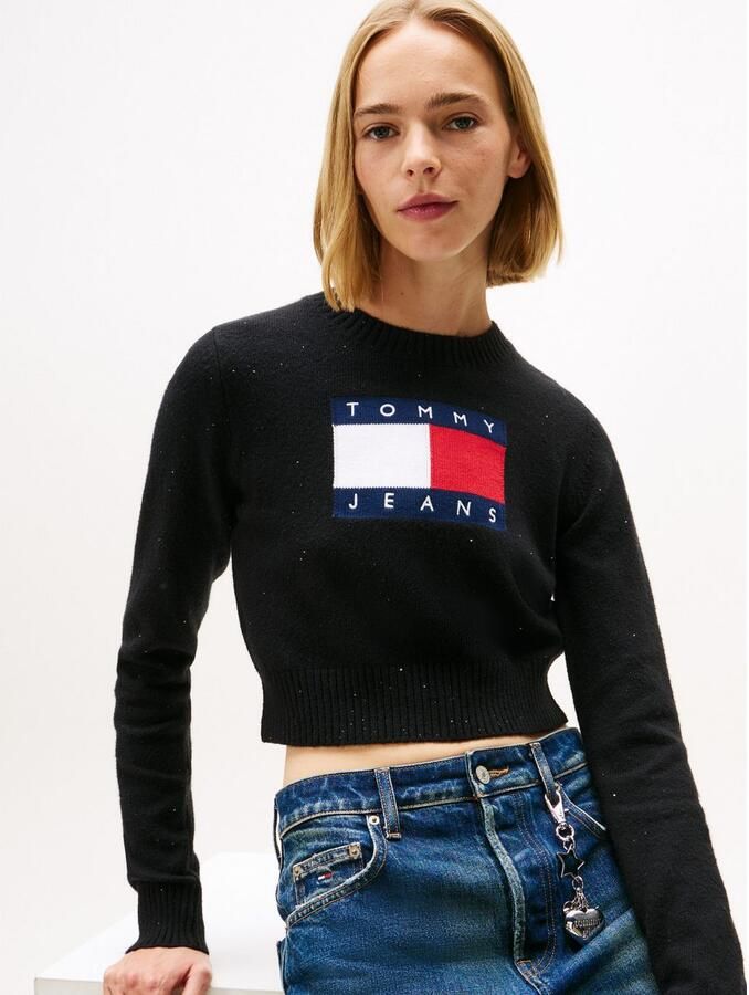 TOMMY JEANS Gebreide trui TJW SPARKLE FLAG SWEATER EXT