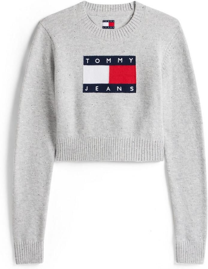 TOMMY JEANS Gebreide trui TJW SPARKLE FLAG SWEATER EXT