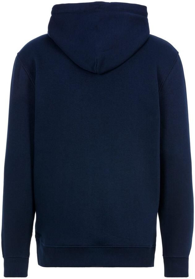 TOMMY JEANS Hoodie TJM REG LINEAR LOGO HOODIE EXT - Foto 6