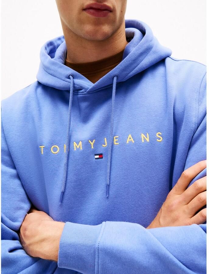 TOMMY JEANS Hoodie TJM REG LINEAR LOGO HOODIE EXT