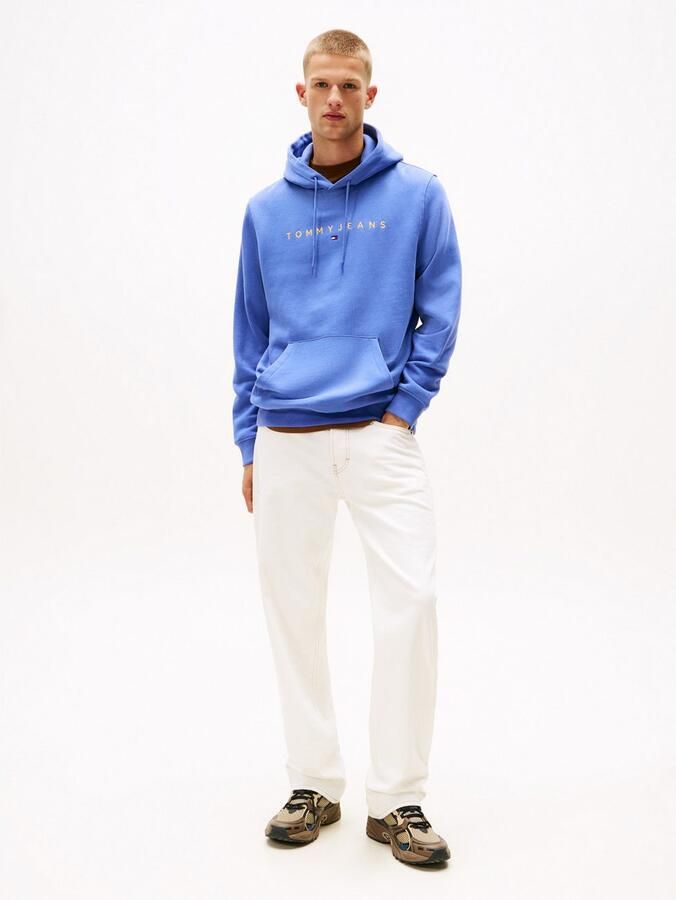 TOMMY JEANS Hoodie TJM REG LINEAR LOGO HOODIE EXT - Foto 2