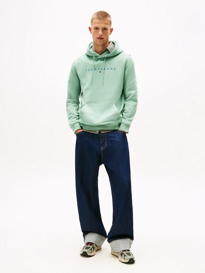 TOMMY JEANS Hoodie TJM REG LINEAR LOGO HOODIE EXT - Foto 2