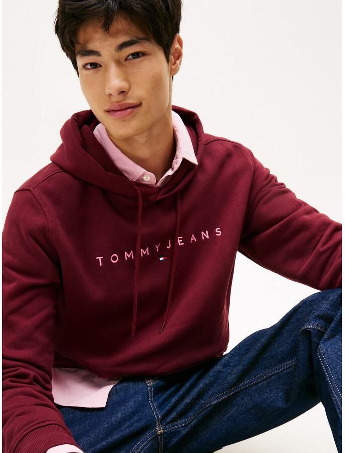 TOMMY JEANS Hoodie TJM REG LINEAR LOGO HOODIE EXT