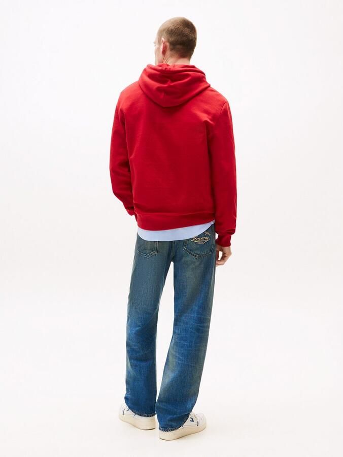 TOMMY JEANS Hoodie TJM REG RWB DNA GRAPHIC HOODIE - Foto 2