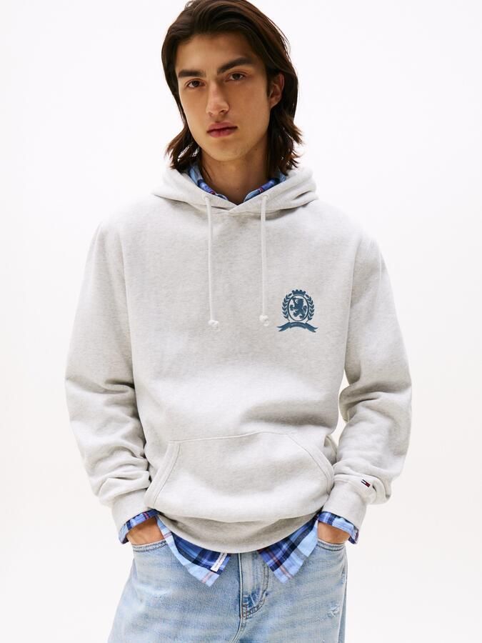 TOMMY JEANS Hoodie TJM WASHED CREST PLAY regular fit sweatshirt rugprint - Foto 5