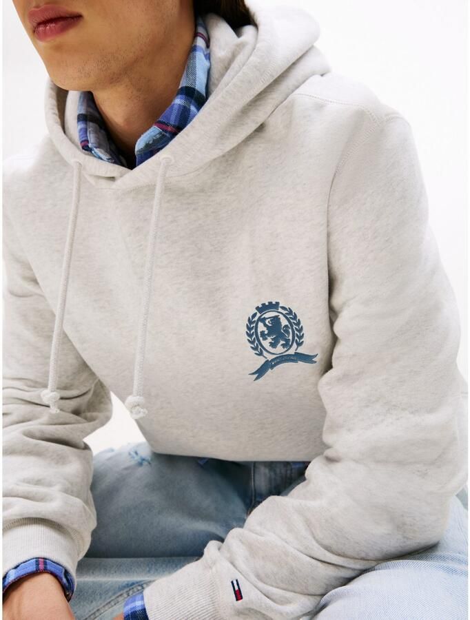 TOMMY JEANS Hoodie TJM WASHED CREST PLAY regular fit sweatshirt rugprint - Foto 2