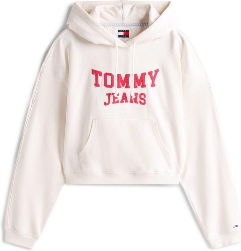Tommy Hilfiger Sweater TJW BXY CRP VARSITY DW0DW21598
