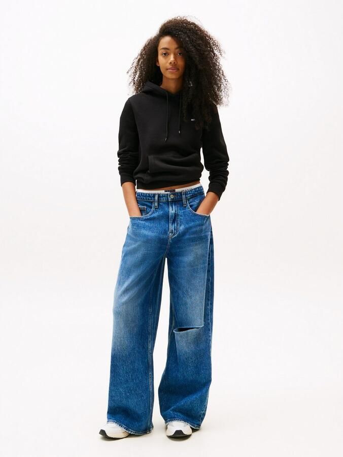 TOMMY JEANS Hoodie TJW REG S FLAG HOODIE