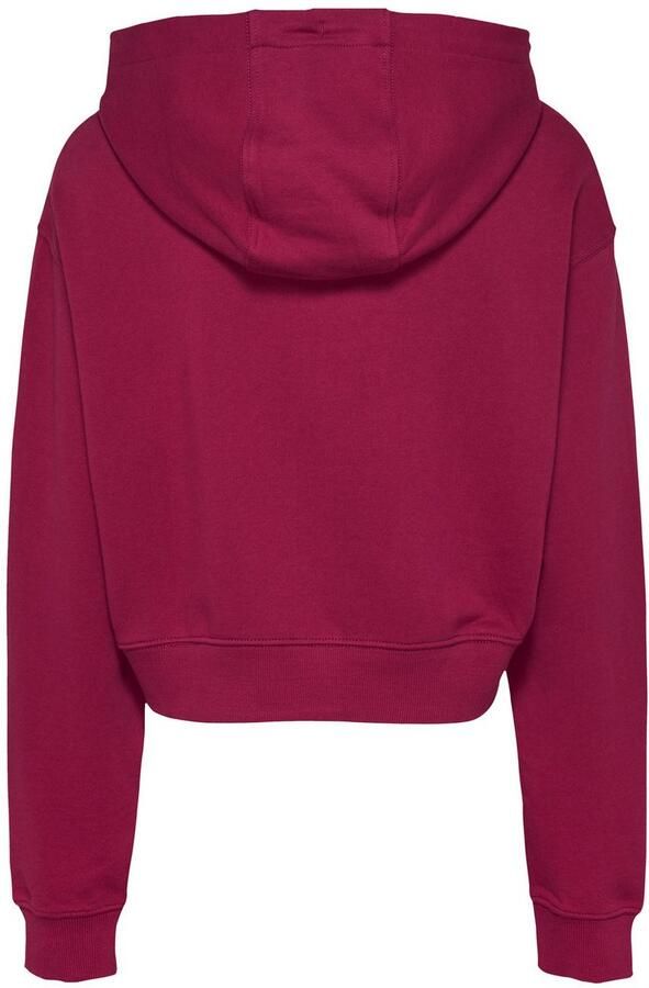 TOMMY JEANS Hoodie TJW RLX CRP SCRIPT HOODIE EXT - Foto 5