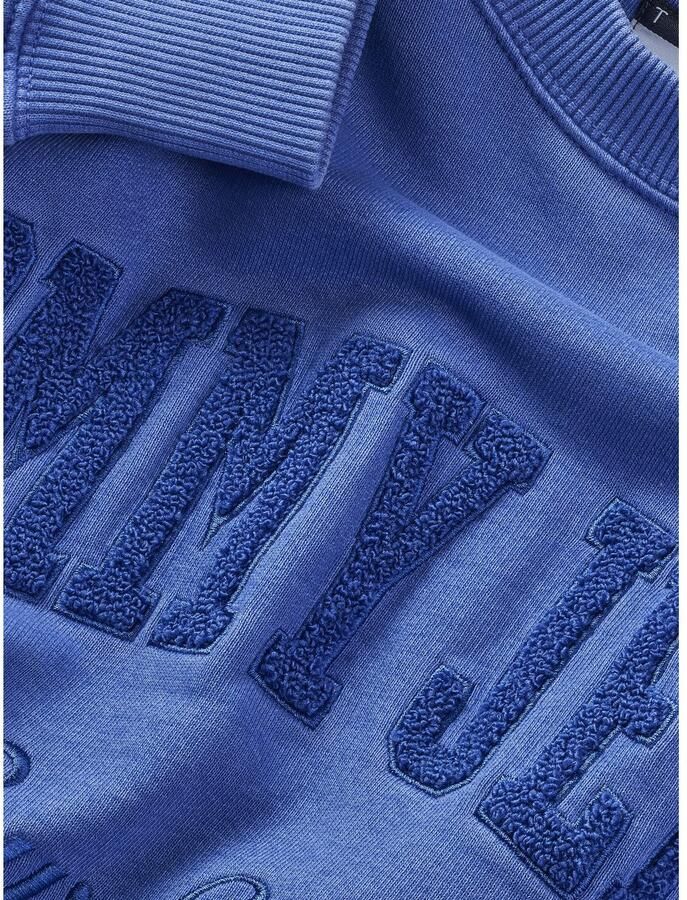 TOMMY JEANS Sweatshirt TJM RLX VINTAGE VARSITY CREW