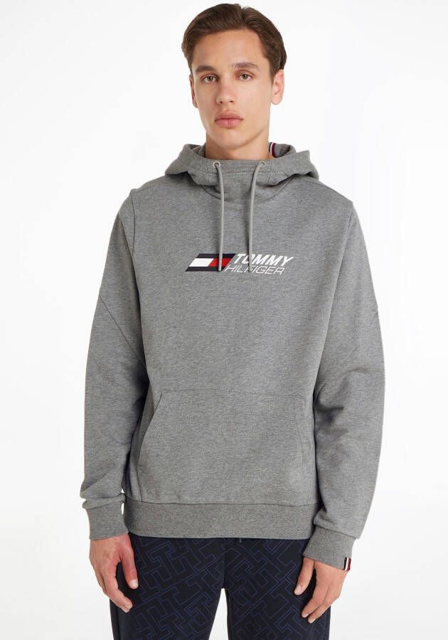 Tommy Hilfiger Essential Hoodie Gray Heren