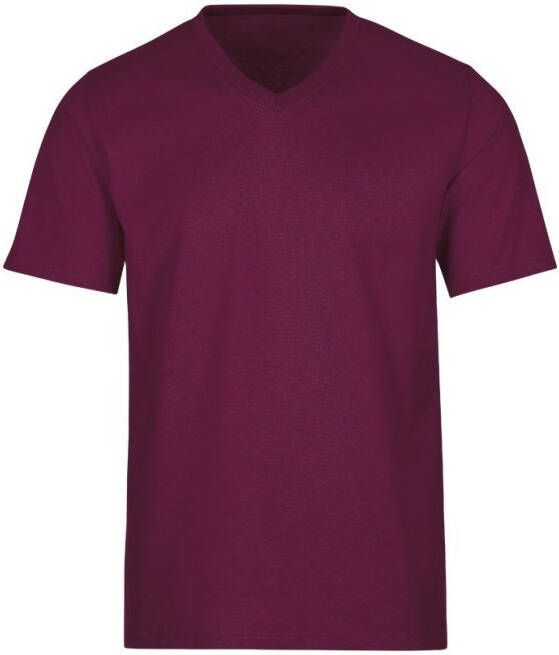 Trigema T-shirt V-Shirt DELUXE katoen (1-delig)