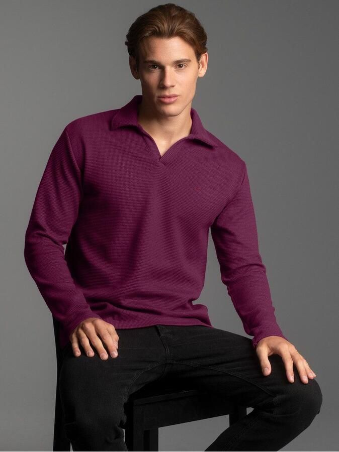 Trigema Poloshirt met lange mouwen zonder knoopsluiting in wafeloptiek (1-delig) - Foto 3