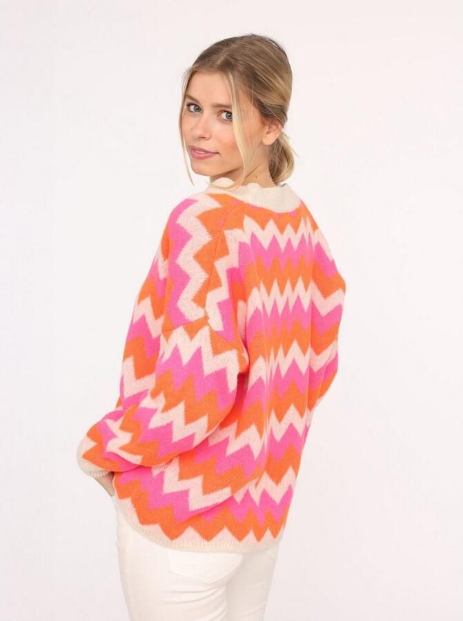 Zwillingsherz Vest Lange mouw zigzag-patroon knoopsluiting diepe V-hals