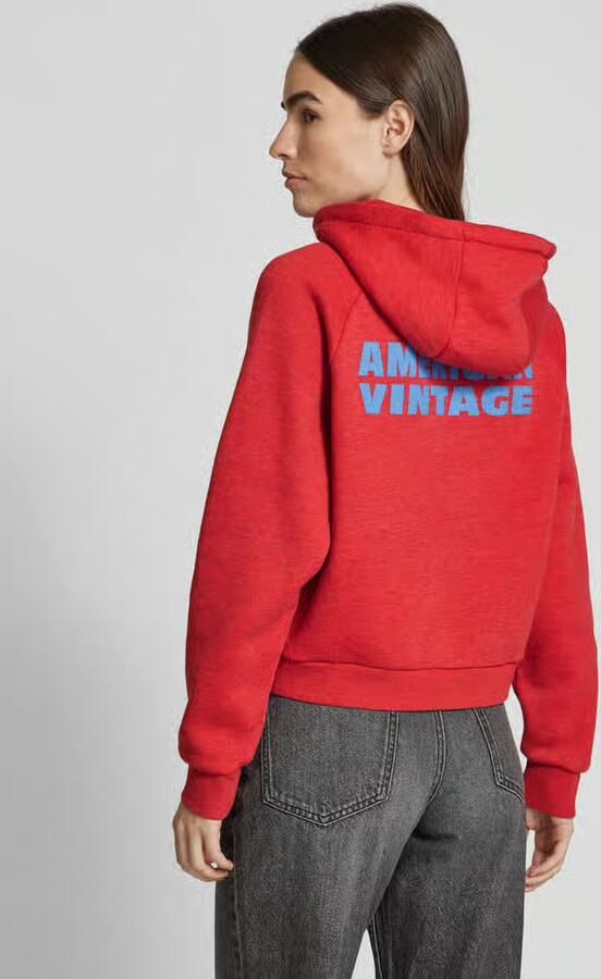 American vintage Hoodie met motiefprint model 'DOVEN'