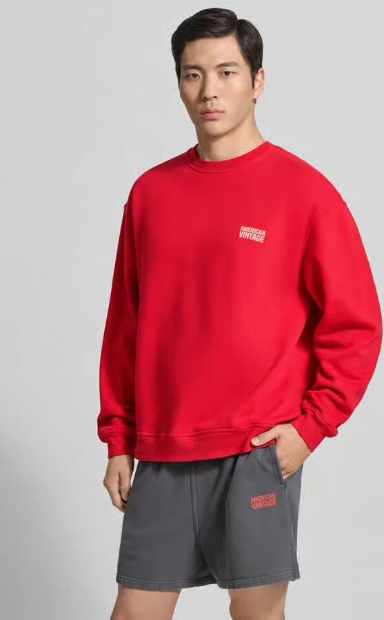 American vintage Sweatshirt met logo model 'PLIZZY' - Foto 4
