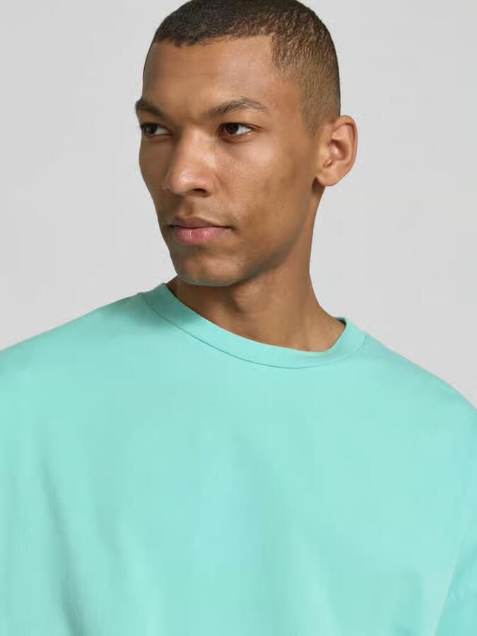 American vintage T-shirt met geribde ronde hals model 'FIZVALLEY'