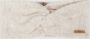 Barts Elastische Dameshoofdband Witzia Stijl Beige Dames - Thumbnail 2