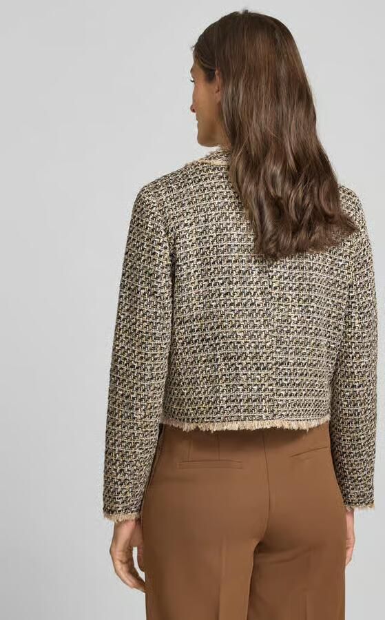 Betty Barclay Regular fit blazer in rotanlook model 'NOI'
