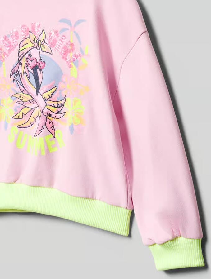 BILLIEBLUSH Sweatshirt met print en state tprint op de achterkant