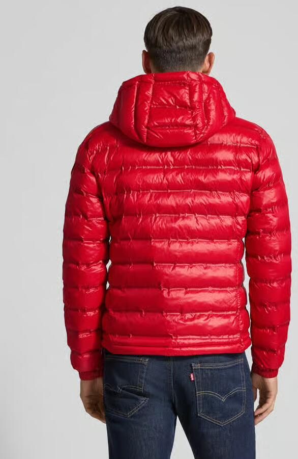 Blauer USA Gewatteerd jack met capuchon model 'CHARLES'