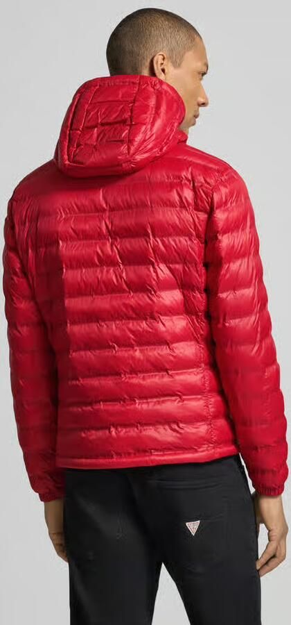 Blauer USA Gewatteerd jack met Tweewegritssluiting Model 'Charles'