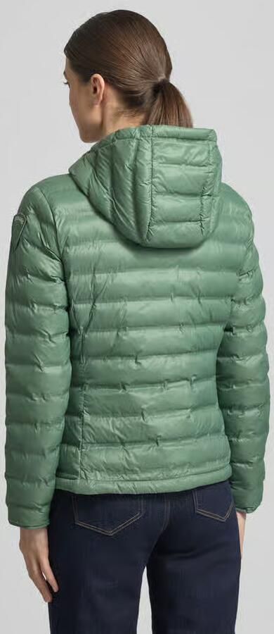 Blauer USA Gewatteerd jack met Tweewegritssluiting Model 'ELLIS'