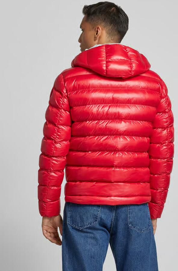 Blauer Usa Regular fit gewatteerd jack met capuchon model 'ADAMS'