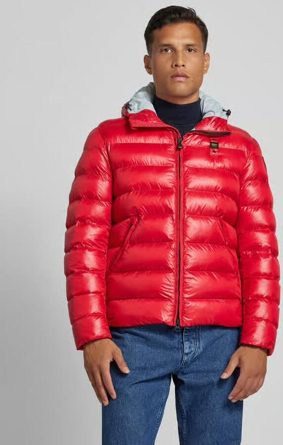 Blauer USA Regular fit gewatteerd jack met capuchon model 'ADAMS' - Foto 2