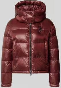 Blauer USA Regular fit jack met Sorona-vulling model 'GLORIA'