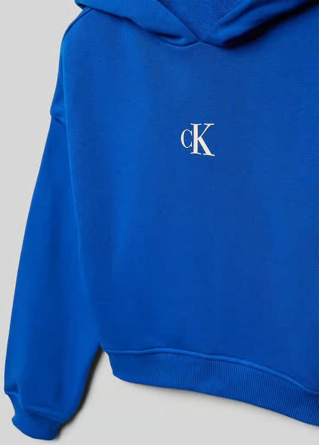 Calvin Klein Jeans Boxy fit hoodie met capuchon
