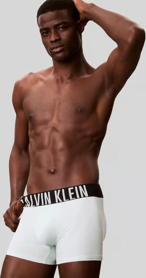Calvin Klein Underwear regular fit trunks in set van 3