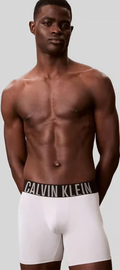 Calvin Klein Underwear regular fit trunks in set van 3