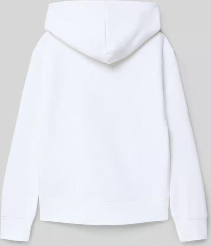 Champion Hoodie ICONS Hoodie (1-delig)