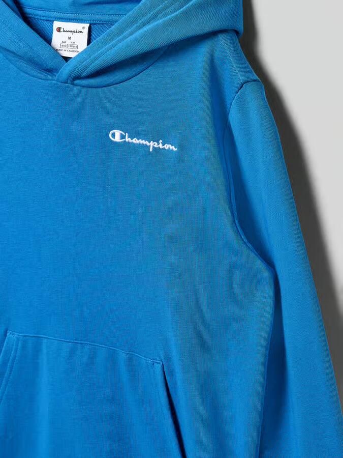 Champion Hoodie met Labelstitching Model 'ICONS'