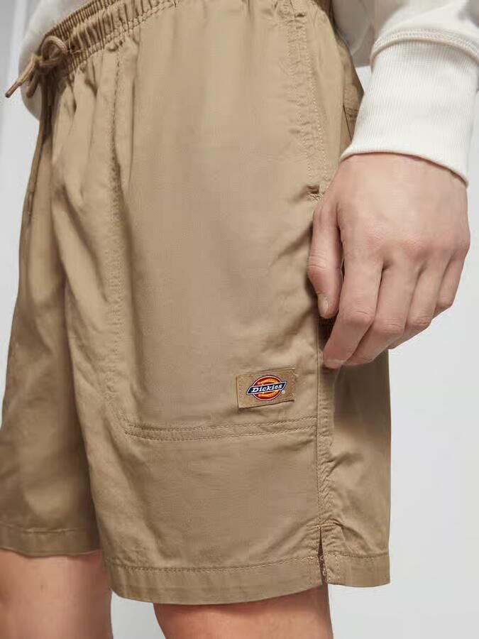 Dickies Korte Broek PELICAN RAPIDS DK0A4XB2-DS01 DESERT SAND