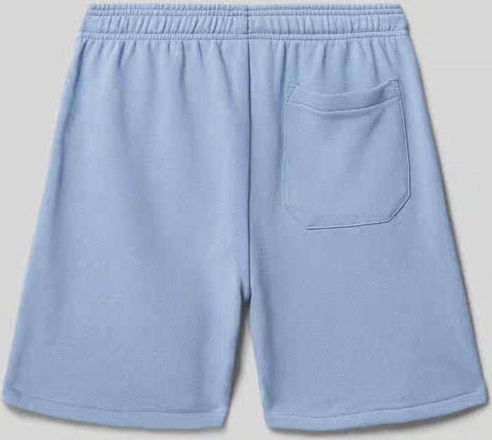 Dickies Regular fit sweatshorts met labelprint model 'MAPLETON'