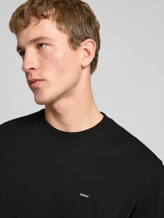 Dickies T-shirt met labeldetails model 'CLANCY'