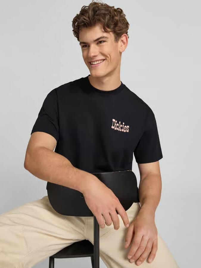 Dickies T-shirt Korte Mouw POLK SS TEE BLACK