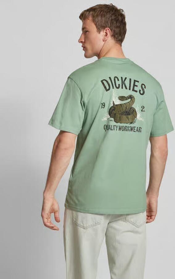 Dickies T-shirt Korte Mouw SNAKE SS TEE