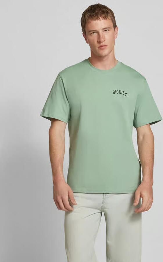 Dickies T-shirt Korte Mouw SNAKE SS TEE - Foto 2