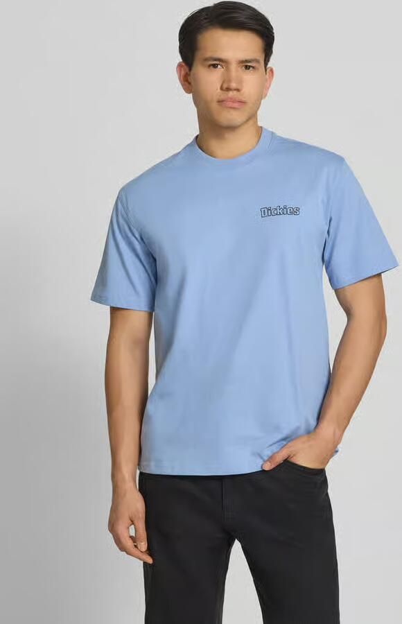Dickies T-shirt met labelprint model 'FAIRLAWN' - Foto 4