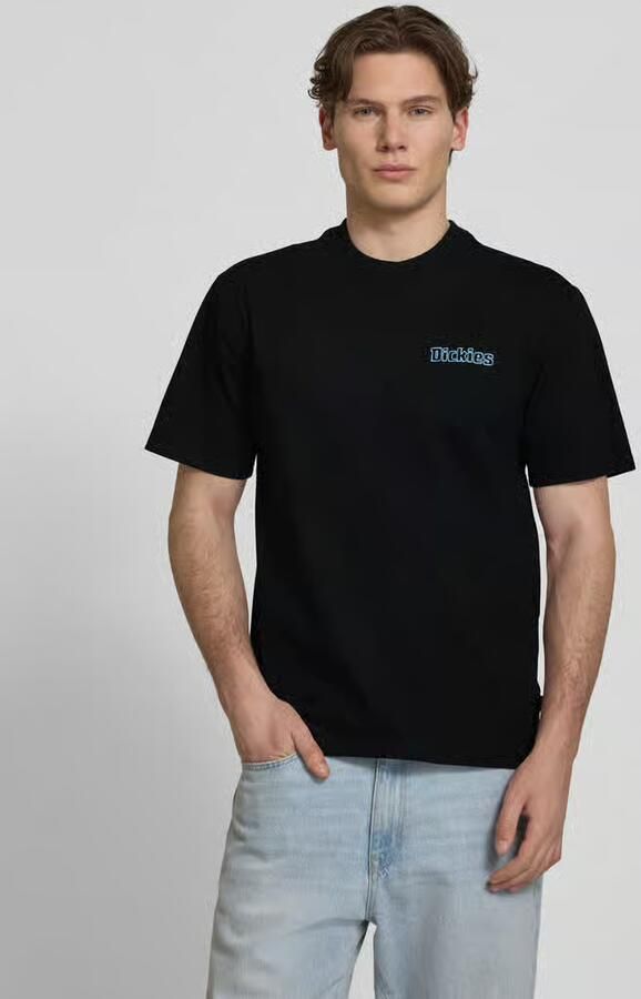 Dickies T-shirt Korte Mouw FAIRLAWN SS TEE BLACK - Foto 3