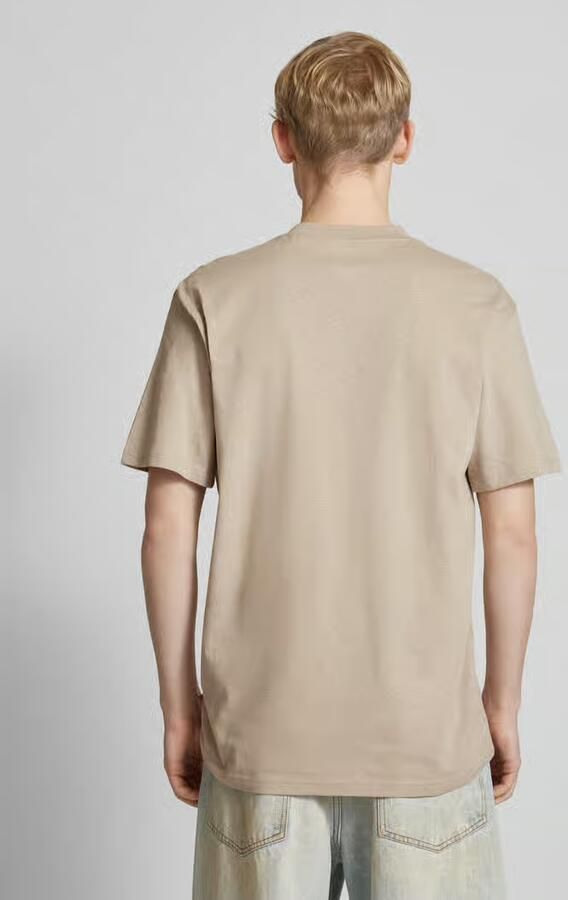 Dickies T-shirt SUMMERDALE SS DK0A4YA-SS01 SANDSTONE