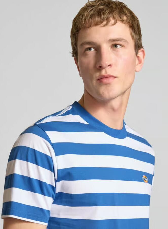 Dickies T-shirt met labelstitching model 'RIVERGROVE'