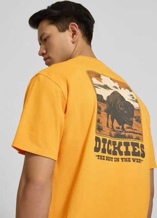 Dickies T-shirt Korte Mouw Darrtown ss tee